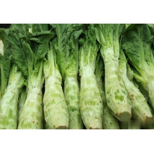 萵筍怎么才能高產(chǎn)？萵筍高產(chǎn)施肥技巧