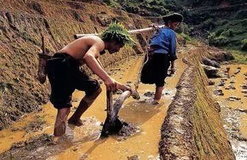 五一勞動(dòng)節(jié)，向農(nóng)民致敬！(圖6)