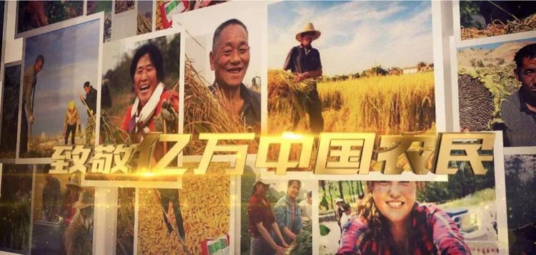 五一勞動(dòng)節(jié)，向農(nóng)民致敬！(圖9)